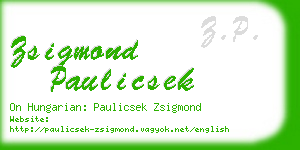 zsigmond paulicsek business card